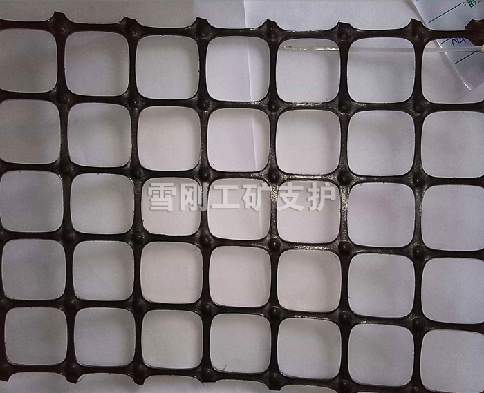 塑料支護(hù)網(wǎng)